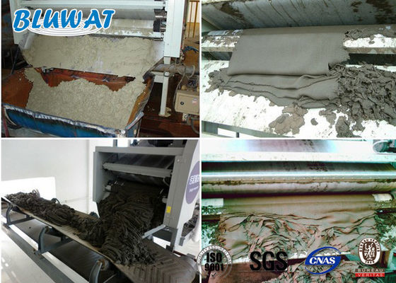 kaufen Verschlammen Sie entwässernden kationischen Polyacrylamid CPAM Blufloc SGS BV bescheinigte on-line-Fertigung