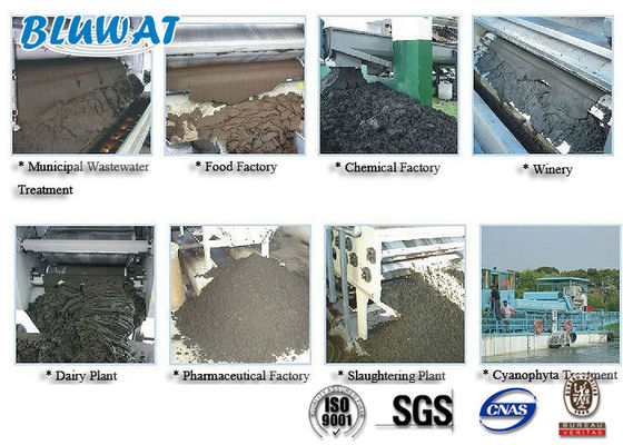 kaufen Weißes Pulver-kationisches Polyacrylamid für die Schlamm-Entwässerung on-line-Fertigung