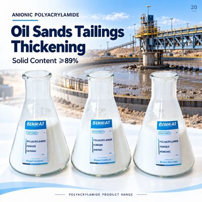 Besorgen Anionic Polyacrylamide APAM 20-100 Mesh 89% Min Solid for Oil Sands Tailings Thickening CAS 9003-05-8 ISO 9001 Manufacturer 750kg Net Big Bag on-line-Fertigung