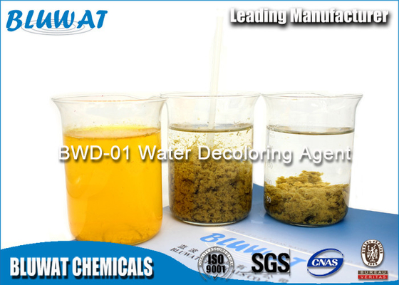 CAS-Nr. 55295-98-2- Manager-Ausbildungsprogramm Flockungsmittel für Wasserbehandlung Decolouring-Mittel-Wasser-Reinigungsvertreter