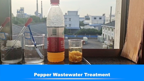 Vertreter Wastewater Treatment 50% Nahrungsmittelprozeßpfeffer Bluwat Decoloring