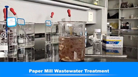 Papierherstellungs-Industrie-Wasser Decolouring-Vertreter Wastewater Effluent Treatment
