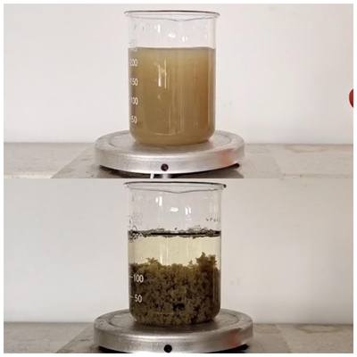Papierherstellungs-Abwasseraufbereitungs-Chemikalien Decolor-Vertreter Coagulant Color Remove 55295 98 2
