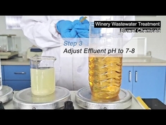 Wie behandelt man das Abwasser von Weingütern?