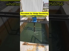 Polyacrylamid-Flockulant Polyelectrolyte Wasserbehandlung Schlamm Verdickung und Entwässerung