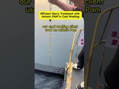 Effiziente Schlammbehandlung mit anionischer PAM bei der Kohlewaschung