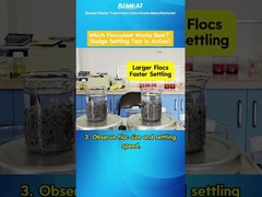 PAM-Flockulanz-Konfrontation: Welcher setzt sich schneller nieder?